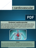 Sistemul Cardiovascular