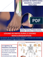 Lesiones en Partes Duras 2021