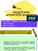 Sapt 33 Fluctuatiile Activitatii Economice