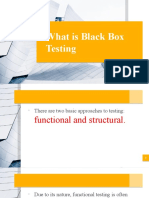 What Is Black Box Testing
