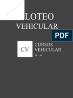 Curso Ploteo Vehicular Cursos Detailing
