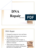 DNA Repair: Vipin Shankar