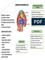 Hernias Dia