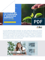 Brochure Diplomado Pyme 2020