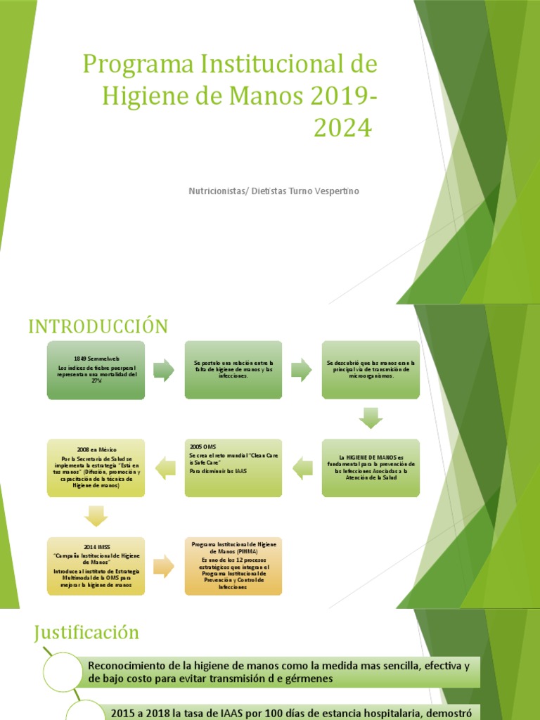 Programa Institucional de Higiene de Manos 2024 | PDF | Lavado de manos ...