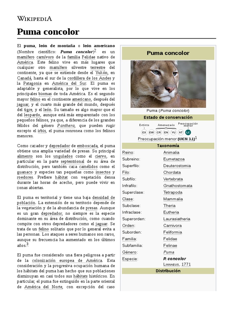 Tiza Vigilancia Previsión Puma Concolor | PDF | Puma | Felidae