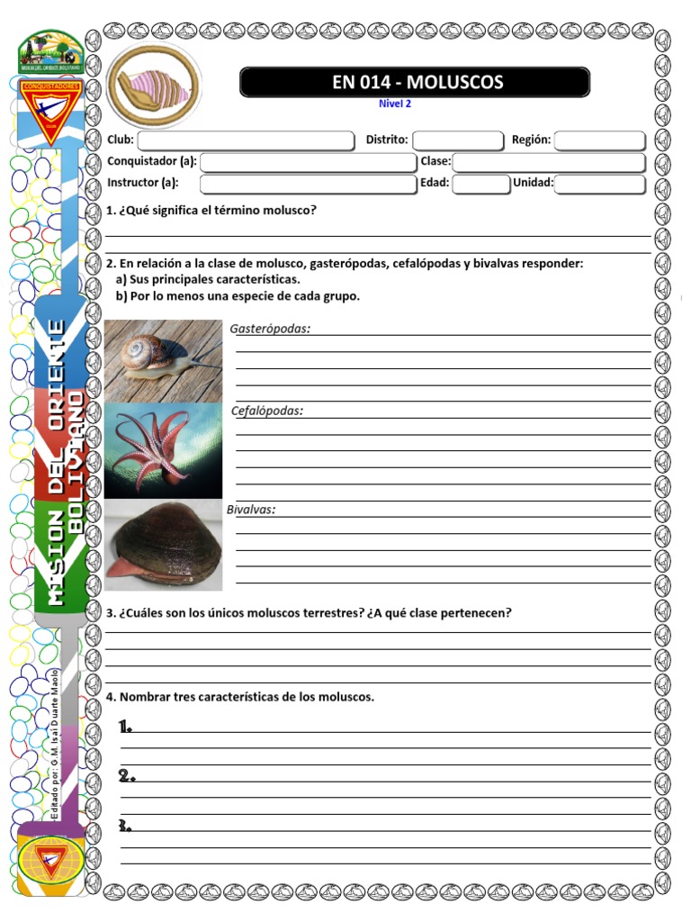 Características y clasificación de moluscos | PDF | Moluscos | Zoología