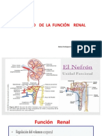 Clase Teorica Semana n9 - Urianalisis y Prubas de Fucion Renal y Liquidos Coroprales