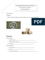 3era Evaluación DHP III - Prof. Edgard Camacho