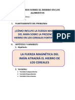 Reporte de Investigación Sobre El Hierro