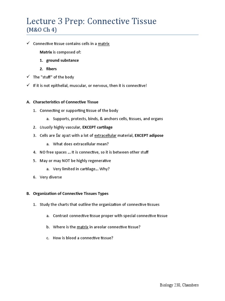 Overview of Connective Tissue Types | PDF | Connective Tissue | Tissue ...