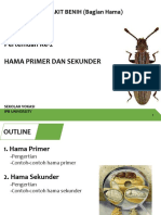  Hama Primer dan Sekunder