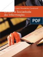 Direito Sociedade Informacao 2