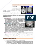 1 - Anatomía y Patología Del Cráneo y Su Contenido-Parte I