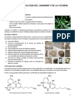 Farmacología del cannabis y la cocaína: efectos, vías de administración y sustancias