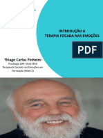 Apresentação TFE