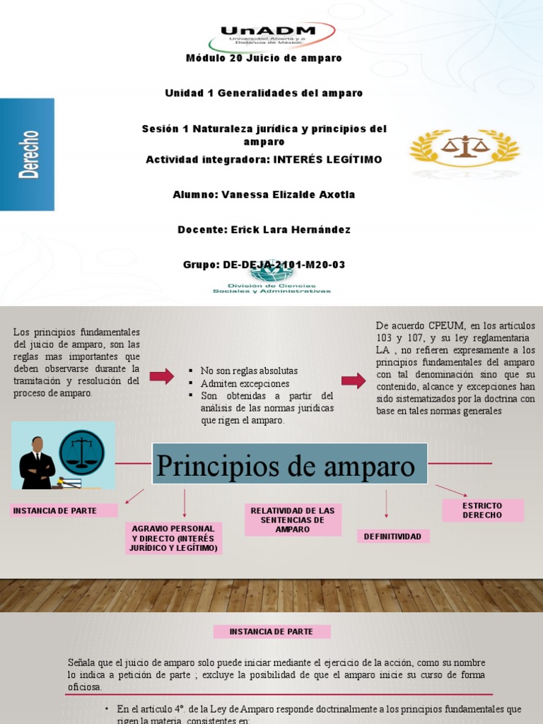Principios de Amparo | Descargar gratis PDF | Caso de ley | Derecho ...