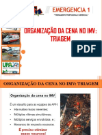 AULA11-Organização Da Cena de IMV e Triagem