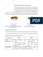 Mengenal Perbedaan Lebah Dan Tawon