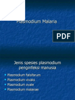 Protozoa Darah Plasmodium