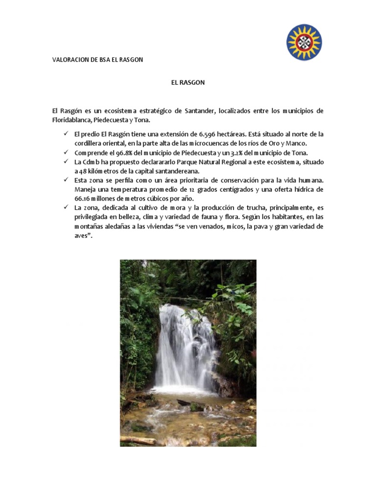 Valoración de Servicios Ambientales en El Rasgón | PDF | Entorno natural