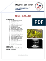 Informe Cocaina