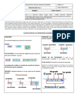 Actividad No. 2 Grado Octavo Matematicas