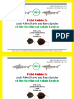 REF02_field Guide to Look Alike Sharks and Rays Species -Sp22