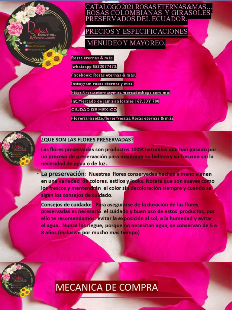 Catalogo Rosas Eternas 2020320 | PDF | Color | Diodo emisor de luz