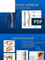 La Columna Vertebral posiciones radiologicas y anatomia