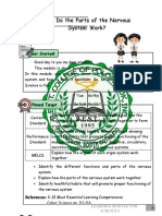 Mer It: How Do The Parts of The Nervous System Work?