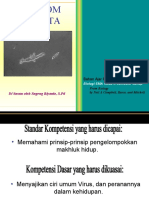 Presentasi Protista Fix