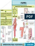 SOMNOLENCIA Y TAQUIPNEA