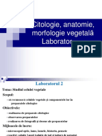Lab. 2_2021_Farma_Citologie, Anatomie, Morfologie Vegetala_sem I.