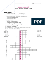 Evaluare Sistenul circulator