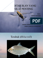 Komoditas Ikan Yang Bernilai Penting 1