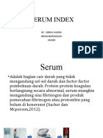 Index Srum