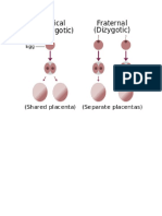 Mono and Dyzogotic Twins