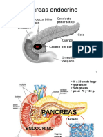 Páncreas Endocrino (Dr. Kaen)