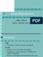 Animal Reproduction: Ashlee Gibson 3025A, 3025M, 3025N