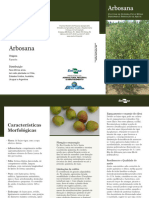 Folder OLIVEIRA CV. ARBOSANA