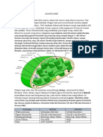 Anabolism e