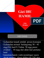 Nutrisi Ibu Hamil