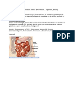 Anatomi Fisiologi Intestinum Tenue 
