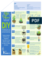Diy Terrarium Everything You Need To Know1