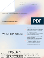 Protein: Iloilo Doctor'S College