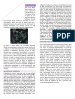 Ecologia das algas e seu papel ecológico