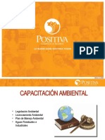 Plantilla Positiva