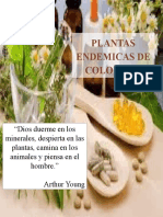 Revista Plantas Endémicas