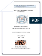 Formato de Ficha Pedagogica - 3ro Informática
